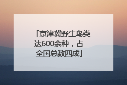 京津冀野生鸟类达600余种，占全国总数四成
