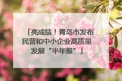 亮成绩！青岛市发布民营和中小企业高质量发展“半年报”
