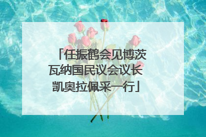任振鹤会见博茨瓦纳国民议会议长凯奥拉佩采一行