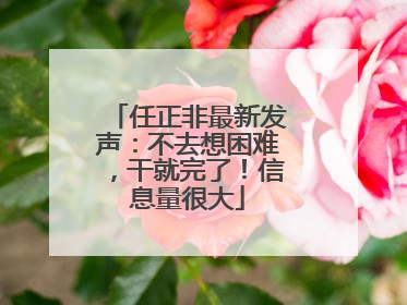 任正非最新发声：不去想困难，干就完了！信息量很大