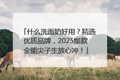 什么洗面奶好用？精选优质品牌，2025爆款全能尖子生放心冲！