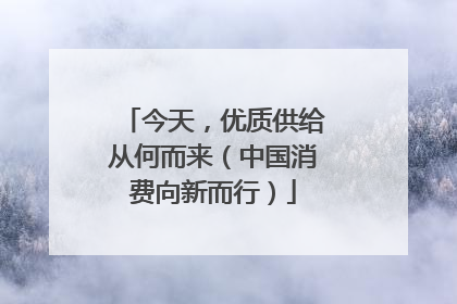 今天，优质供给从何而来（中国消费向新而行）
