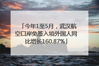 今年1至5月，武汉航空口岸免签入境外国人同比增长160.87%