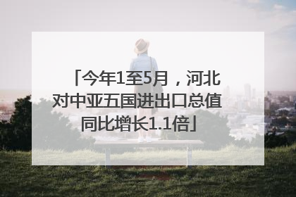 今年1至5月，河北对中亚五国进出口总值同比增长1.1倍