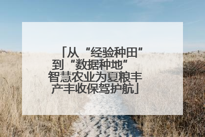 从“经验种田”到“数据种地” 智慧农业为夏粮丰产丰收保驾护航