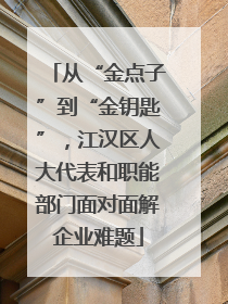 从“金点子”到“金钥匙”，江汉区人大代表和职能部门面对面解企业难题