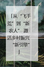 从“飞手荒”到“新农人” 激活乡村振兴“新引擎”