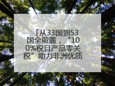从33国到53国全覆盖，“100%税目产品零关税”助力非洲优质商品入华