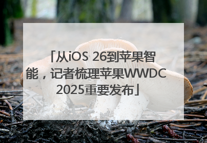 从iOS 26到苹果智能，记者梳理苹果WWDC 2025重要发布