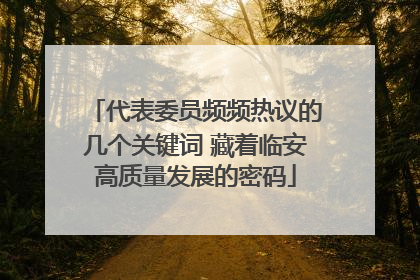 代表委员频频热议的几个关键词 藏着临安高质量发展的密码