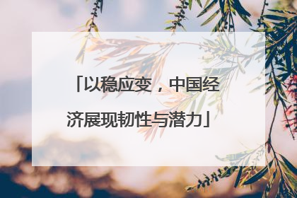 以稳应变，中国经济展现韧性与潜力