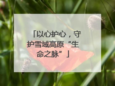 以心护心，守护雪域高原“生命之脉”
