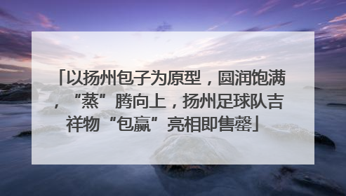 以扬州包子为原型，圆润饱满，“蒸”腾向上，扬州足球队吉祥物“包赢”亮相即售罄