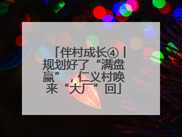 伴村成长④丨规划好了“满盘赢”，仁义村唤来“大厂”回