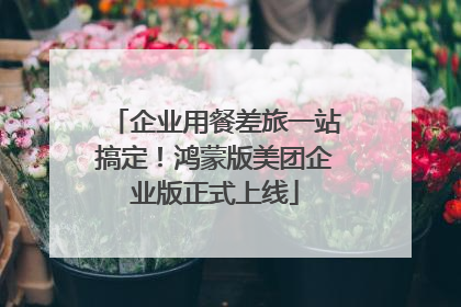 企业用餐差旅一站搞定！鸿蒙版美团企业版正式上线