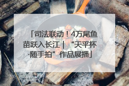 司法联动！4万尾鱼苗跃入长江｜“天平杯·随手拍”作品展播