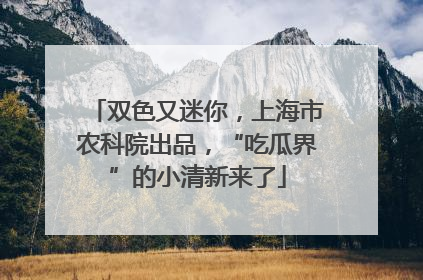 双色又迷你，上海市农科院出品，“吃瓜界”的小清新来了