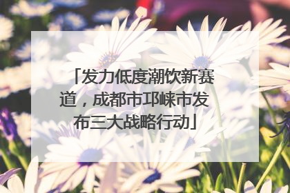 发力低度潮饮新赛道，成都市邛崃市发布三大战略行动
