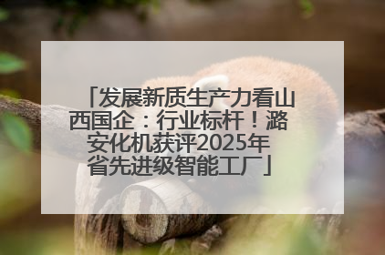 发展新质生产力看山西国企：行业标杆！潞安化机获评2025年省先进级智能工厂
