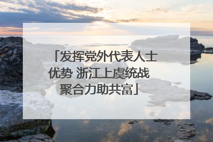 发挥党外代表人士优势 浙江上虞统战聚合力助共富