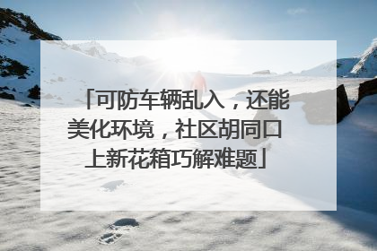 可防车辆乱入，还能美化环境，社区胡同口上新花箱巧解难题