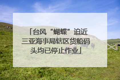 台风“蝴蝶”迫近 三亚海事局辖区货船码头均已停止作业