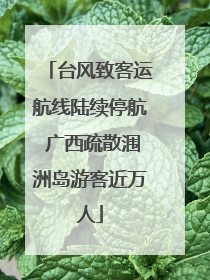 台风致客运航线陆续停航 广西疏散涠洲岛游客近万人