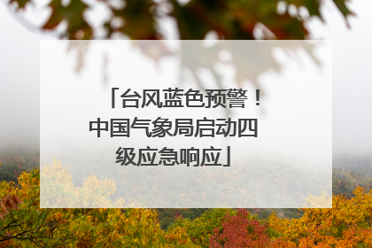 台风蓝色预警！中国气象局启动四级应急响应