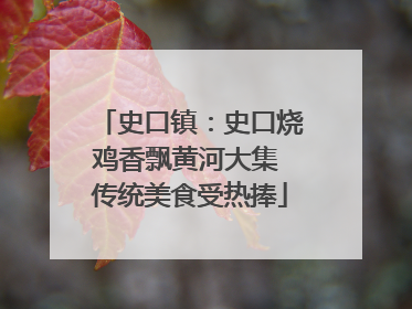 史口镇：史口烧鸡香飘黄河大集 传统美食受热捧