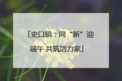 史口镇：同“新”迎端午 共筑活力家