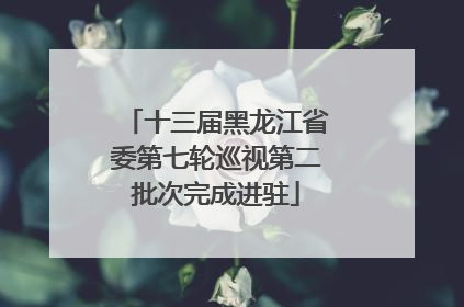 十三届黑龙江省委第七轮巡视第二批次完成进驻