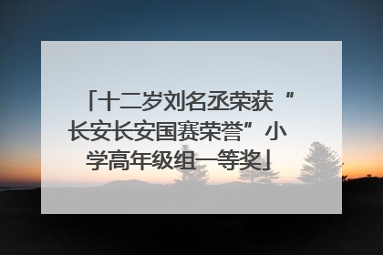 十二岁刘名丞荣获“长安长安国赛荣誉”小学高年级组一等奖