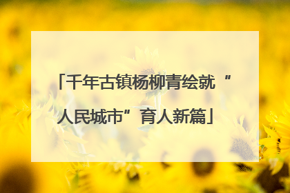千年古镇杨柳青绘就“人民城市”育人新篇