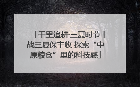 千里追耕·三夏时节丨战三夏保丰收 探索“中原粮仓”里的科技感