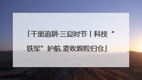 千里追耕·三夏时节丨科技“铁军”护航 麦收颗粒归仓