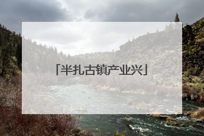 半扎古镇产业兴