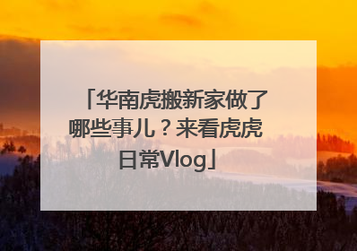 华南虎搬新家做了哪些事儿？来看虎虎日常Vlog