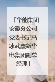 华能集团安徽分公司党委书记马冰武履新华电集团副总经理