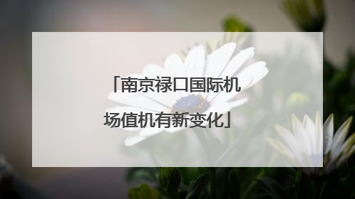 南京禄口国际机场值机有新变化