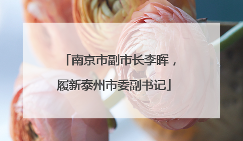 南京市副市长李晖，履新泰州市委副书记