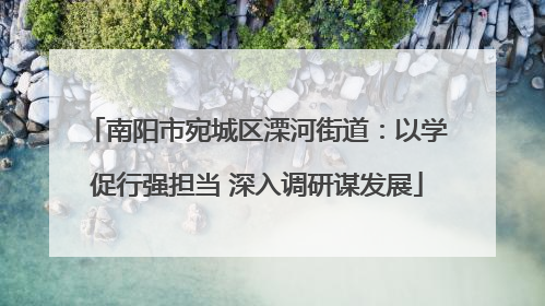 南阳市宛城区溧河街道：以学促行强担当 深入调研谋发展