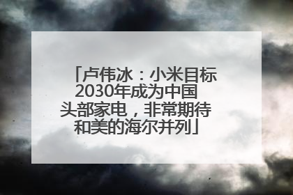 卢伟冰：小米目标2030年成为中国头部家电，非常期待和美的海尔并列