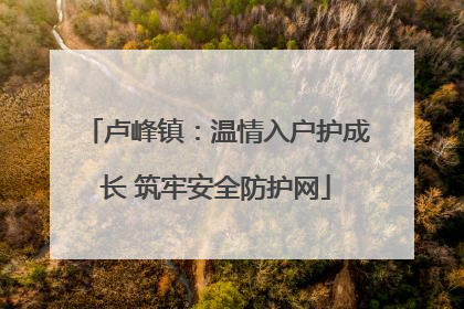 卢峰镇：温情入户护成长 筑牢安全防护网