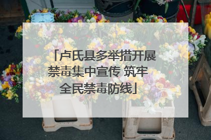 卢氏县多举措开展禁毒集中宣传 筑牢全民禁毒防线