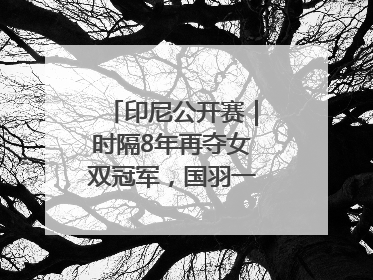 印尼公开赛｜时隔8年再夺女双冠军，国羽一金一银收官