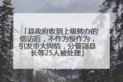 县政府收到上级转办的信访后，不作为慢作为，引发重大舆情，分管副县长等25人被处理