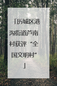历城区港沟街道芦南村获评“全国文明村”