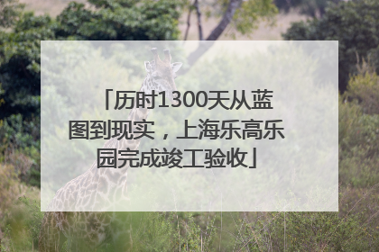 历时1300天从蓝图到现实，上海乐高乐园完成竣工验收