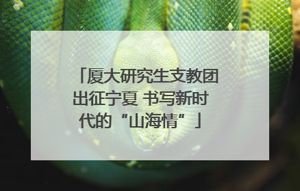 厦大研究生支教团出征宁夏 书写新时代的“山海情”