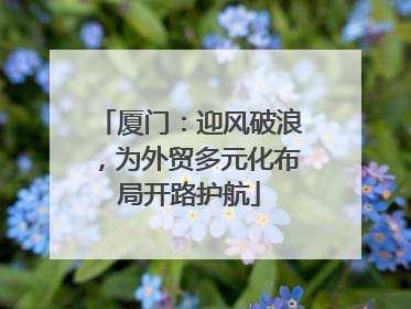 厦门：迎风破浪，为外贸多元化布局开路护航